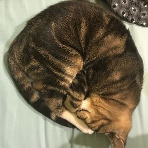 Meet your Posher, Macey